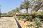 2250m² Land in Nareel Island, UAE No. 29778 - Image 14