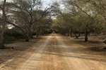 756m² Land in Ghantoot, UAE No. 29898 - Image 2