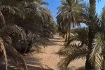 756m² Land in Ghantoot, UAE No. 29898 - Image 4