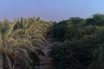 756m² Land in Ghantoot, UAE No. 29898 - Image 5