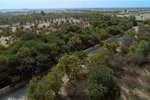 756m² Land in Ghantoot, UAE No. 29898 - Image 6