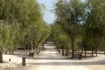 756m² Land in Ghantoot, UAE No. 29898 - Image 8