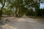 756m² Land in Ghantoot, UAE No. 29898 - Image 12