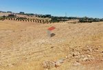 20000m² Land in Mohamed Bin Zayed City, UAE No. 30013 - Image 4