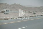 9290.2m² Land in Shamal Julphar, UAE No. 33196 - Image 3