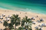1 bedroom Apartment in Dubai Harbour, UAE No. 34356 - Image 10