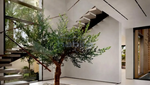 4 bedrooms Townhouse in Dubai Land, UAE No. 36087 - Image 4