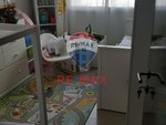 3 bedrooms Apartment in Al Reef, UAE No. 37153 - Image 7