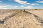999.6m² Land in Saadiyat Island, UAE No. 40559 - Image 6