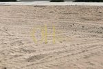 999.6m² Land in Saadiyat Island, UAE No. 40559 - Image 7