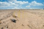 999.6m² Land in Saadiyat Island, UAE No. 40559 - Image 8