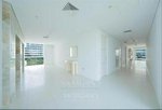 4 bedrooms Apartment in Al Barari, UAE No. 40754 - Image 3