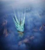 5 bedrooms Penthouse in Dubai, UAE No. 41012 - Image 9