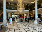 Studio in Palm Jumeirah, UAE No. 42526 - Image 11