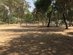 1440.3m² Land in Deira, UAE No. 44510 - land in Dubai