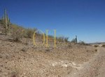 360m² Land in Baniyas, UAE No. 44595 - Image 10