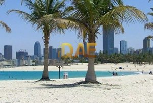 8361.2736m² Land in Dubai, UAE No. 4617
