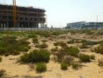 6038.6976m² Land in Wadi Al Safa 2, UAE No. 4623 - Image 7