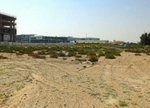 6038.6976m² Land in Wadi Al Safa 2, UAE No. 4623 - Image 8