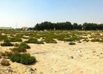 6038.6976m² Land in Wadi Al Safa 2, UAE No. 4623 - Image 9