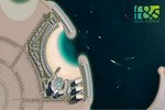 4 bedrooms Apartment in Al Marjan Island, UAE No. 46548 - Image 10