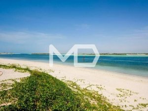 5 bedrooms Villa in Saadiyat Island, UAE No. 47106