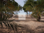 4 bedrooms Villa in Ghantoot, UAE No. 50811 - Image 10