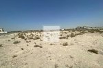 929m² Land in Dubai, UAE No. 51517 - Image 7