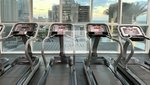 1 bedroom Apartment in Dubai Marina, UAE No. 51522 - Image 13