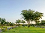 1351.4m² Land in Al Ain, UAE No. 52779 - Image 17