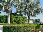 3 bedrooms Townhouse in Dubai, UAE No. 53483 - Image 25