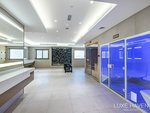 48.5m² Apartment in Downtown Dubai (Downtown Burj Dubai), UAE No. 55519 - Image 20