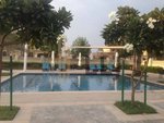 5 bedrooms Villa in Saadiyat Island, UAE No. 55939 - Image 3
