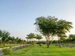 1114.8m² Land in Al Ain, UAE No. 56162 - Image 8