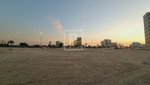 5659.7m² Land in Al Jaddaf, UAE No. 6005 - Image 2
