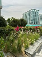 1 bedroom Apartment in DISTRICT ONE, Dubai, UAE No. 61193 - Image 14