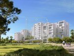 1 bedroom Apartment in BEACH HILLS, Al Zorah, UAE No. 62571 - Image 8