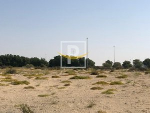 6596.1m² Land in Majan, UAE No. 7427