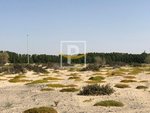 6596.1m² Land in Majan, UAE No. 7427 - Image 2