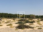 6596.1m² Land in Majan, UAE No. 7427 - Image 4