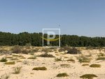 6596.1m² Land in Majan, UAE No. 7427 - Image 7
