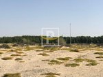6596.1m² Land in Majan, UAE No. 7427 - Image 8