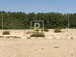 6596.1m² Land in Majan, UAE No. 7427 - Image 10