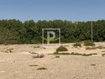 6596.1m² Land in Majan, UAE No. 7427 - Image 12