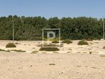 6596.1m² Land in Majan, UAE No. 7427 - Image 13