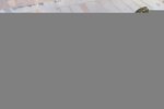 3 bedrooms Apartment in Dubai Harbour, UAE No. 7670 - Image 6