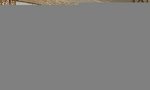 3 bedrooms Apartment in Dubai Harbour, UAE No. 7670 - Image 8