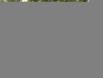 2 bedrooms Apartment in Business Bay, UAE No. 7858 - Image 10