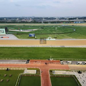 1151.5m² Land in Al Jaddaf, UAE No. 7987