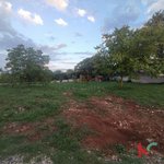 1151.5m² Land in Al Jaddaf, UAE No. 7987 - Image 2